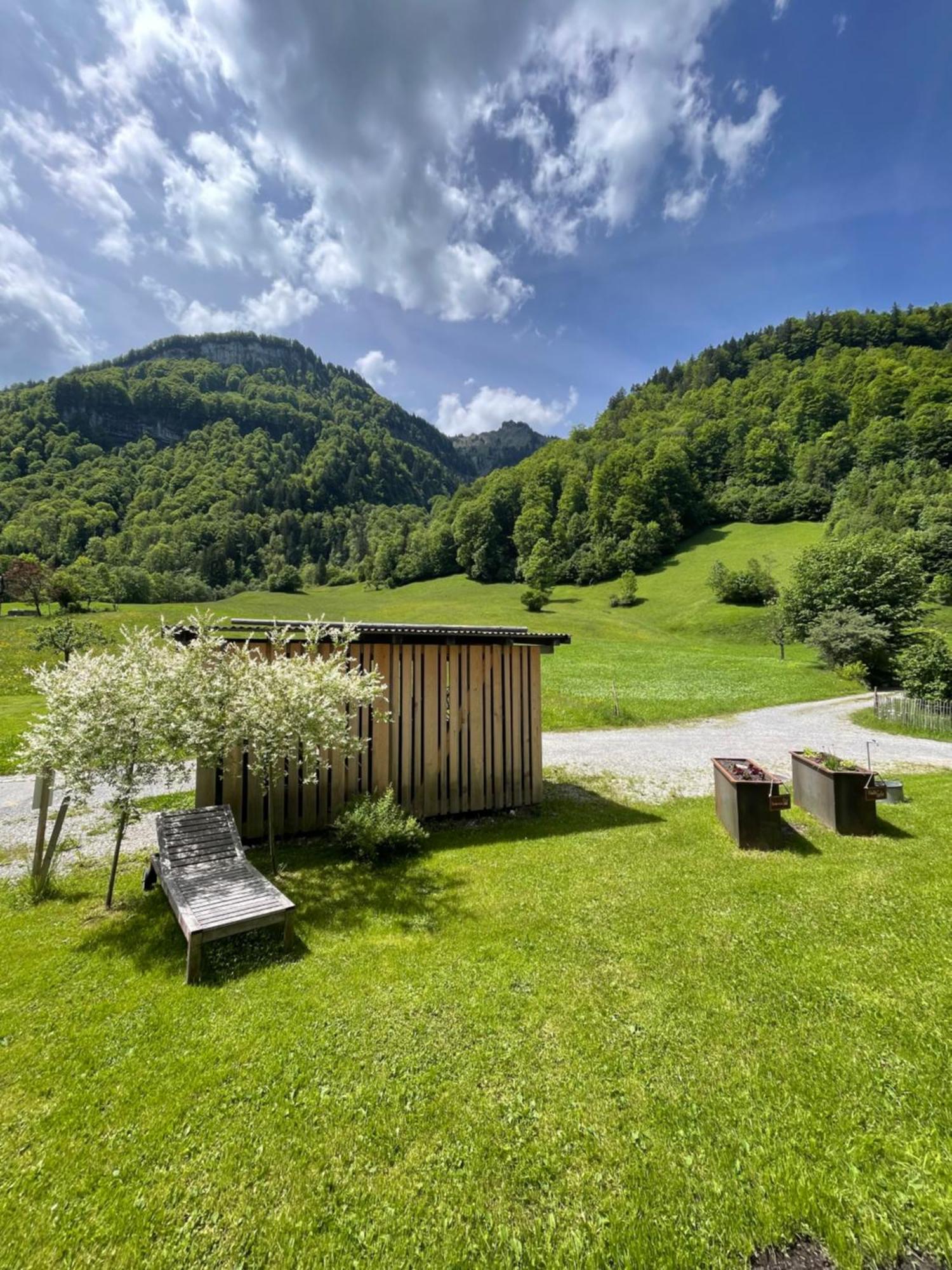 Apartment Waldblick Mellau Exterior photo